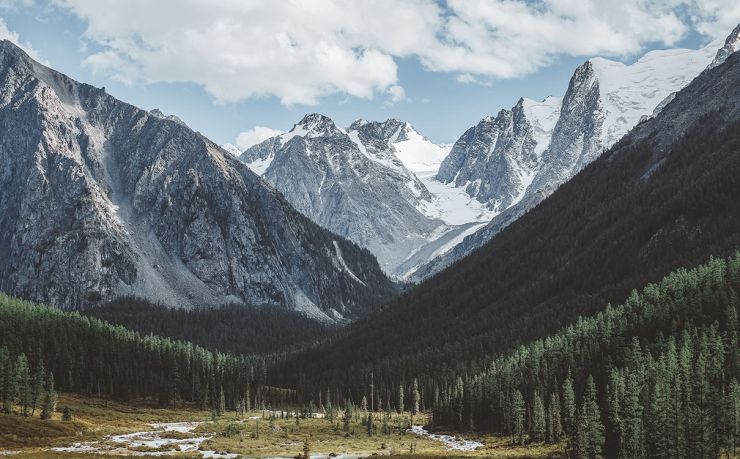 巴拿马快速移民中介